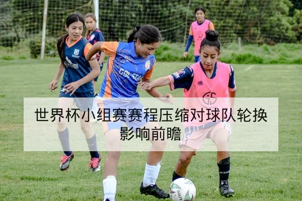 意甲球队伤停名单与首发可用性查询