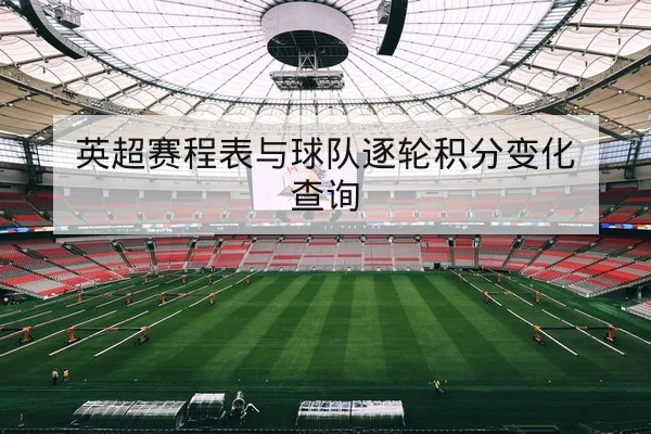 意甲球队伤停名单与首发可用性查询